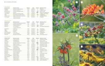 Immerblühende Beete 