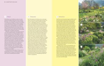 Immerblühende Beete 