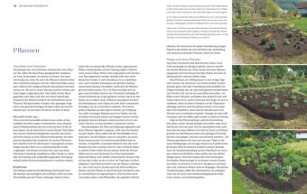 Immerblühende Beete 