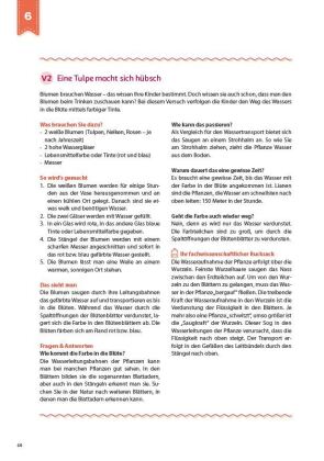 Mit Kita-Kindern forschen