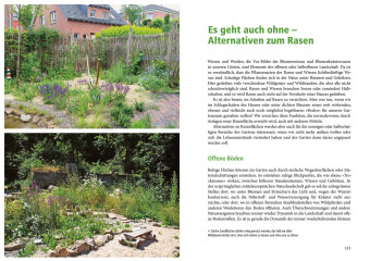 Die Rasen-Revolution