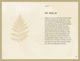Waldgeheimnisse