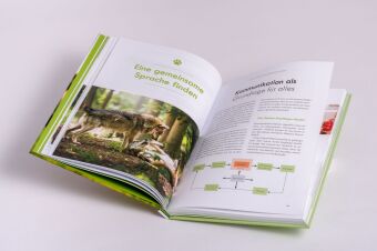 Artgerechte Hundeerziehung