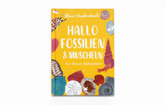 Hallo Fossilien & Muscheln