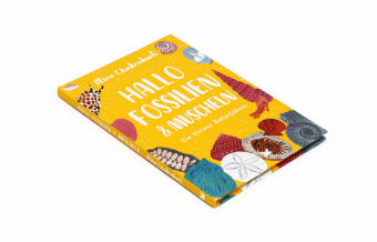Hallo Fossilien & Muscheln