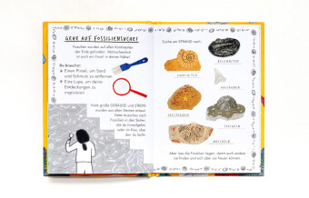 Hallo Fossilien & Muscheln