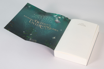 A Study in Drowning (A Study in Drowning, Band 1) 