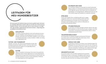 Finde den Hund, der zu dir passt