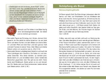 Die Jugendbibel Alles was zählt