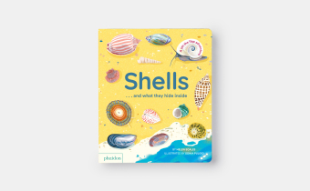 Shells... and what they hide inside