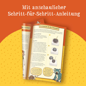 Die Schule der magischen Tiere - Tiere filzen 