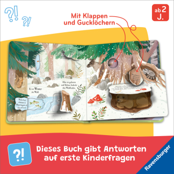 Auf Entdeckungstour - Im Wald