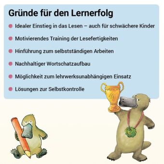 Lesen mit Rico Schnabel, Heft 4: Vom Satz zum Text - silbierte Ausgabe, für BOOKii®