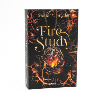 Fire Study