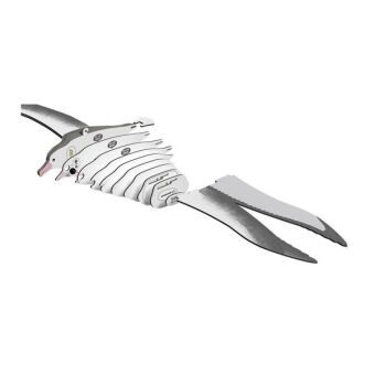 EUGY 3D Bastelset Royal Albatross