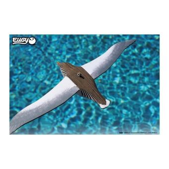 EUGY 3D Bastelset Royal Albatross