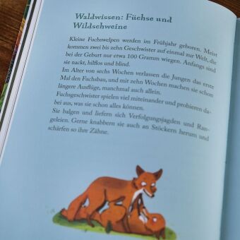 Die schönsten Geschichten aus dem Wald