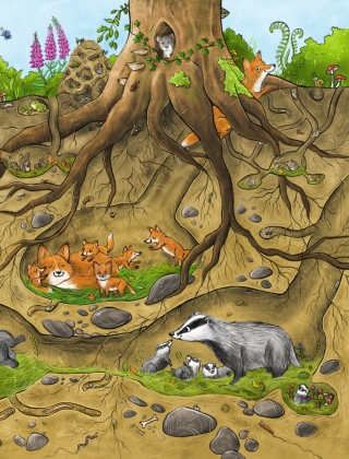 Das große Wald-Wimmelbuch 