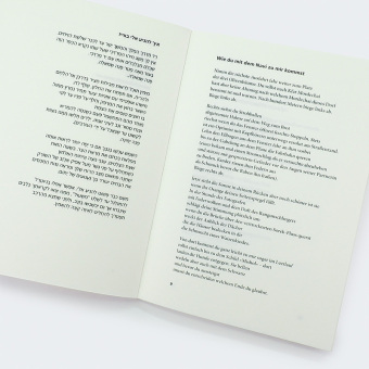 Gedicht für den unvollkommenen Menschen
