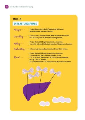 Wunderleicht Leberreinigung