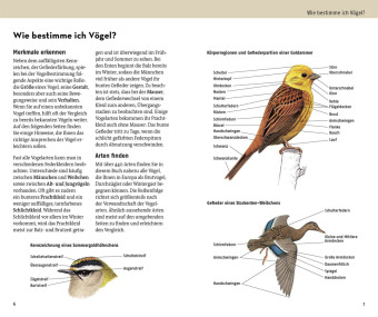 Welcher Vogel ist das?