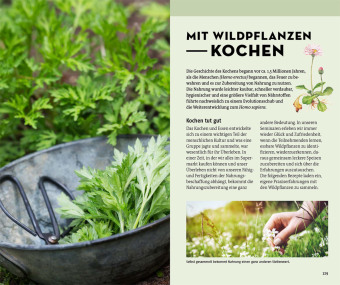 Welche essbare Wildpflanze ist das?