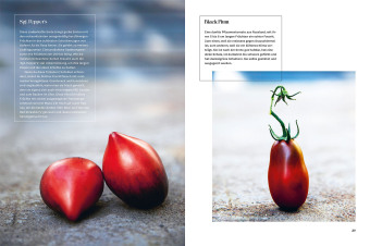 Verrückt nach Tomaten
