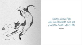 Kleine Katzenphilosophie