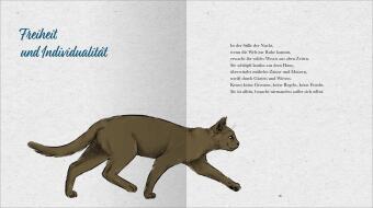 Kleine Katzenphilosophie