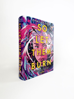 So Let Them Burn 