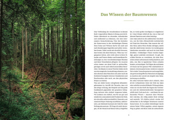 Die Weisheit der Baumwesen