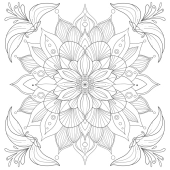 Colorful World - Kraftvolle Mandalas 