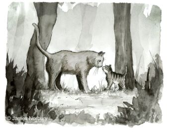 Die Katze, die nach Weisheit sucht