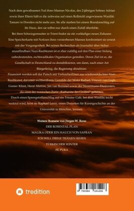 Begegnung in Triest - Ein spannender Politthriller