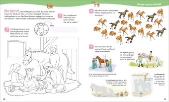 WAS IST WAS Junior Mitmach-Heft Pferde & Ponys