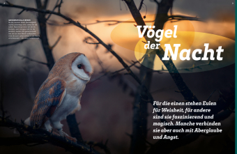 WAS IST WAS Eulen. Jäger mit Supersinnen