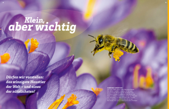 WAS IST WAS Bienen. Summende Genies 