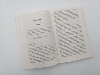 Das Echo vergessener Bücher 