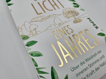 Das Licht eines Jahres