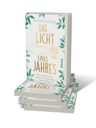 Das Licht eines Jahres