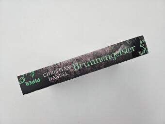 Brunnengeister - Ich verspreche dir alles, was du willst ...