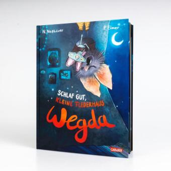 Die kleine Fledermaus Wegda: Schlaf gut, kleine Fledermaus Wegda!