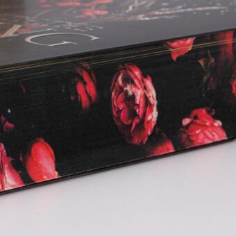 Married into Magic: Deal with the Elf King 