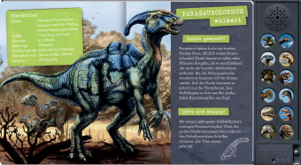 Das große Dinosaurier-Soundbuch