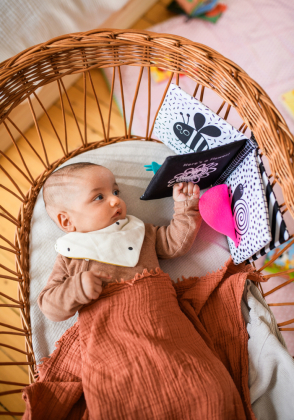 Babys kuschelweiches Kontrastbuch (Stoffbuch)