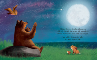 Ich liebe dich, und du liebst mich (Pappbilderbuch)