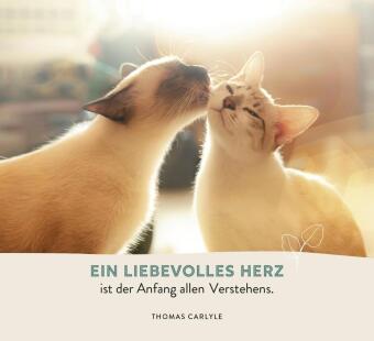 Zur Hochzeit