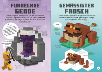 LEGO® Minecraft® Ideen