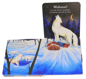Mein Pop-up-Buch zum Staunen. Tiere in Eis und Schnee