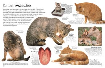 memo Wissen. Katzen